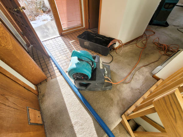 Best Water damage restoration near me  in Lake Meade, PA