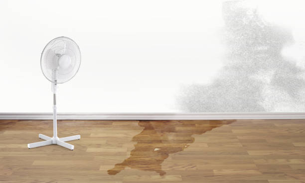 Best Local water damage restoration  in Lake Meade, PA